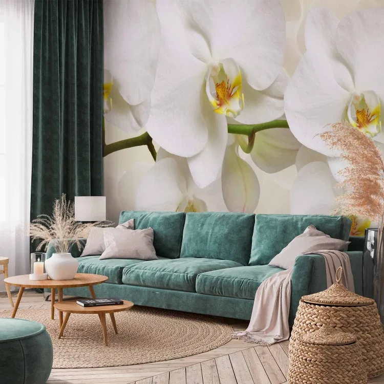 Orchideenzweig - zarte Komposition mit Nahaufnahme von weißen Blüten