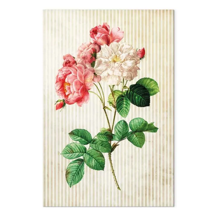 Bunte Rosen im Retro-Stil (1-teilig) - Blumennaturinspiration