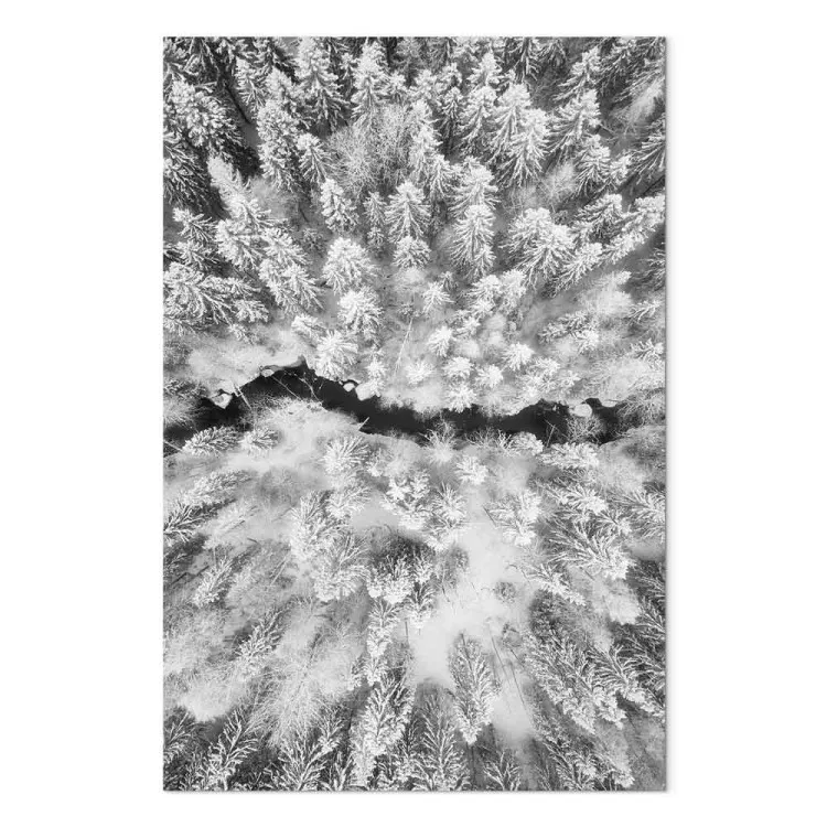 Winterwald von aus der Vogelperspektive - Winterlandschaft in SW