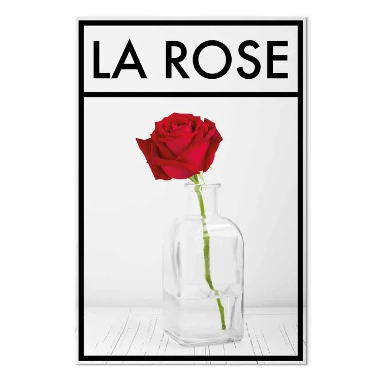 Die Rose – Eine intensiv rote Rosenblüte in einer Vase auf hellgrauem Hintergrund mit schwarzem Rahmen und einer französischen Aufschrift