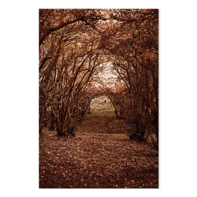 Baumallee - mit Blättern bedeckter Herbstlandschaftspfad im Wald