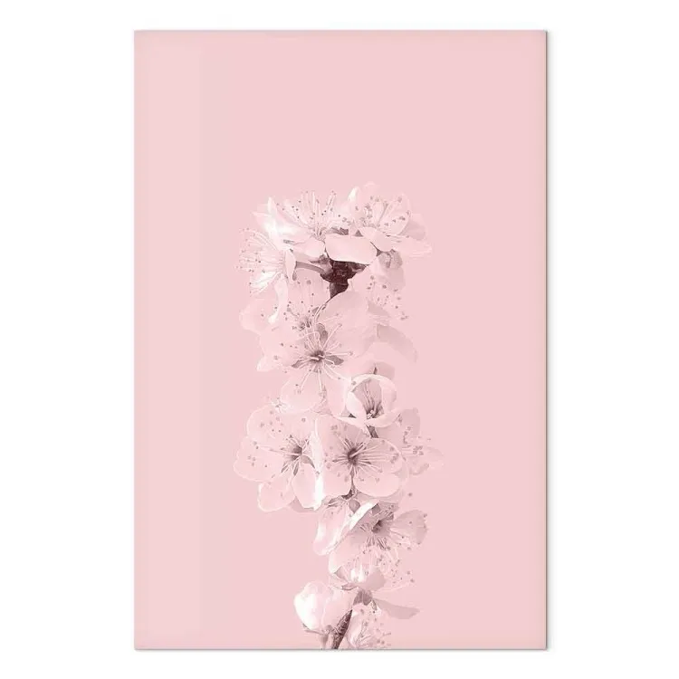 Frühlingszweig voll von Apfelblüten - rosa Pflanzenkompostion