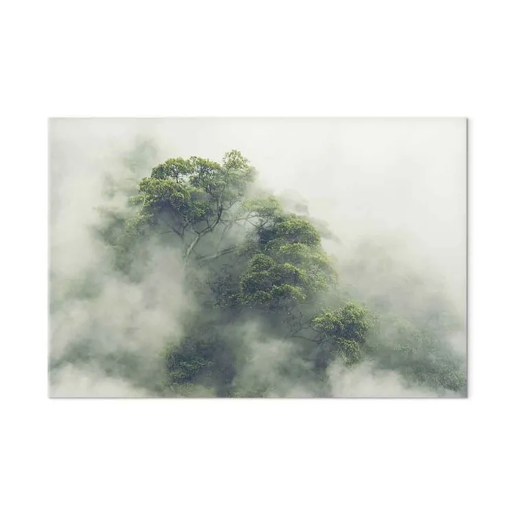 Nebeliges Amazonas (1-teilig) - Exotischer Dschungel