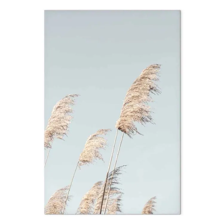 Federnde Flüchtigkeit (1-teilig) - Wiesenlandschaft im Boho-Stil