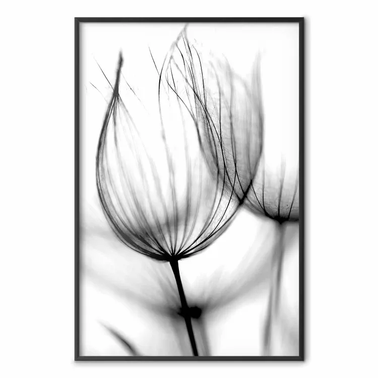 Pusteblume im Wind