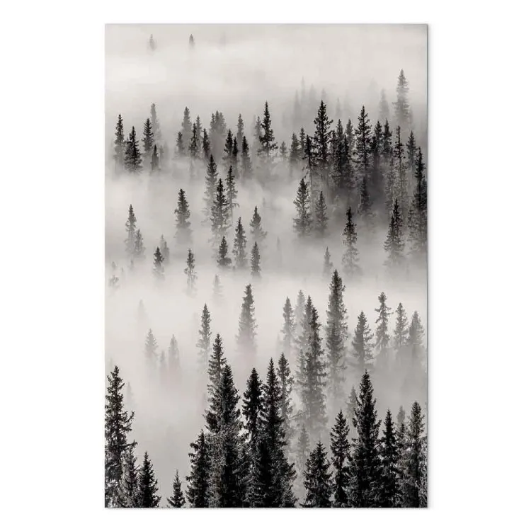 Urwald (1-teilig) Hochformat - Nebliger dunkler Wald
