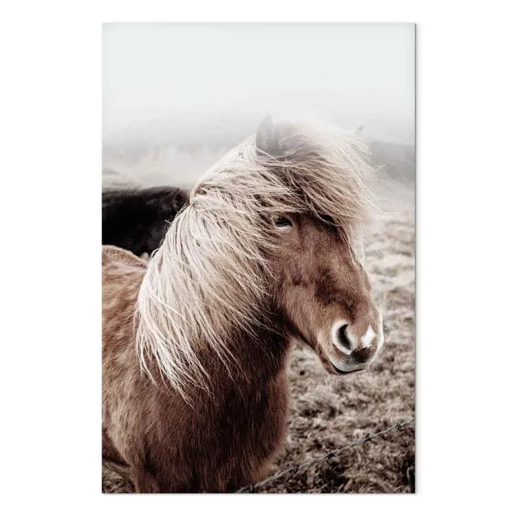 Gegen den Wind (1-teilig) Hochformat - Pferd in einem Porträtfoto