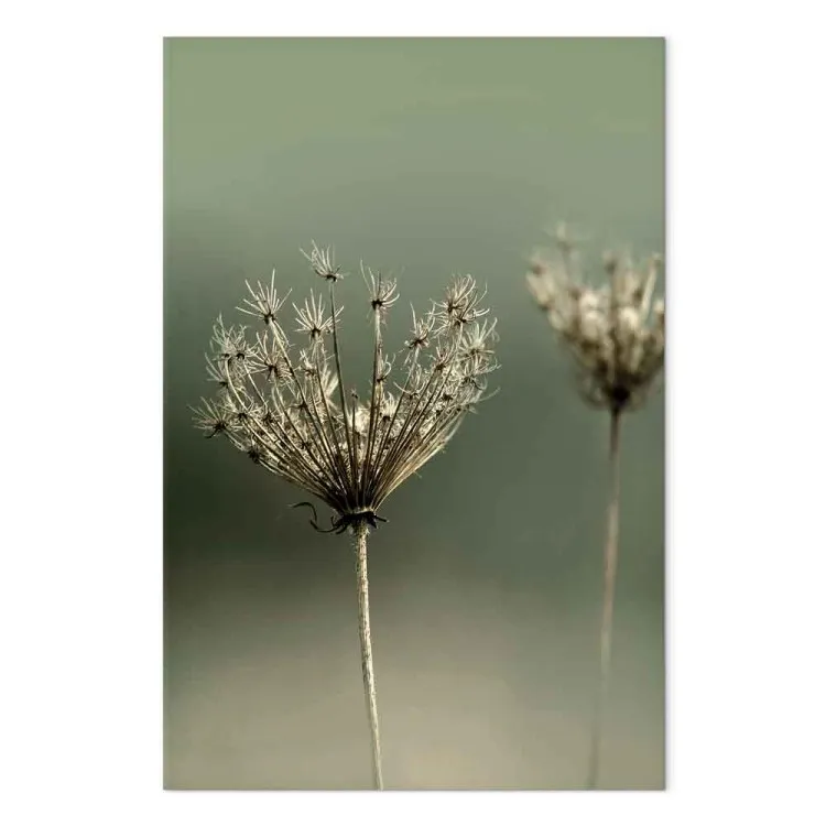 Sehnsucht nach vergangenem Sommer (1-teilig) Hochformat - Blumenfoto