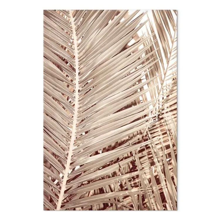 Getrocknete Palme - trockene Palmblätter auf einem weißen Hintergrund