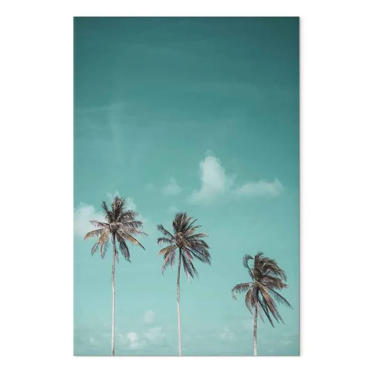 Drei Palmen - Bild von drei Bäumen auf einem blauen Himmel