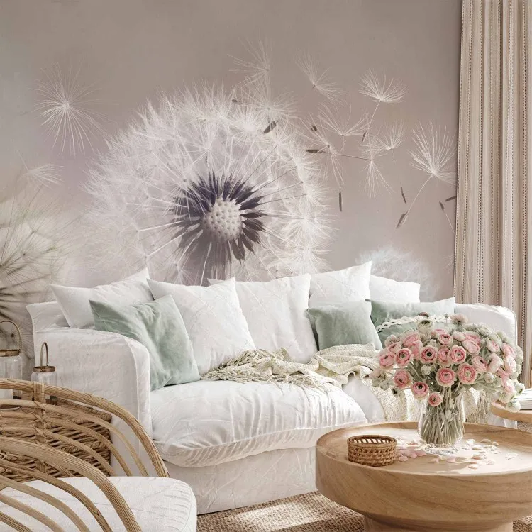 Pusteblume und Wind