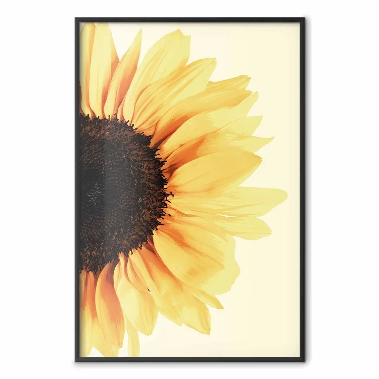 Näher an der Sonne