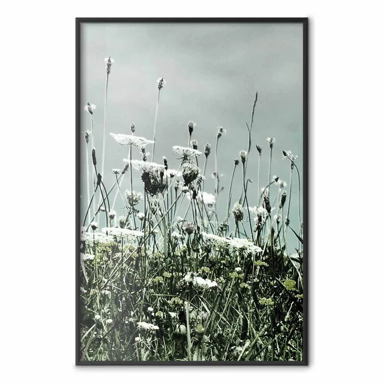 Mitte des Sommers