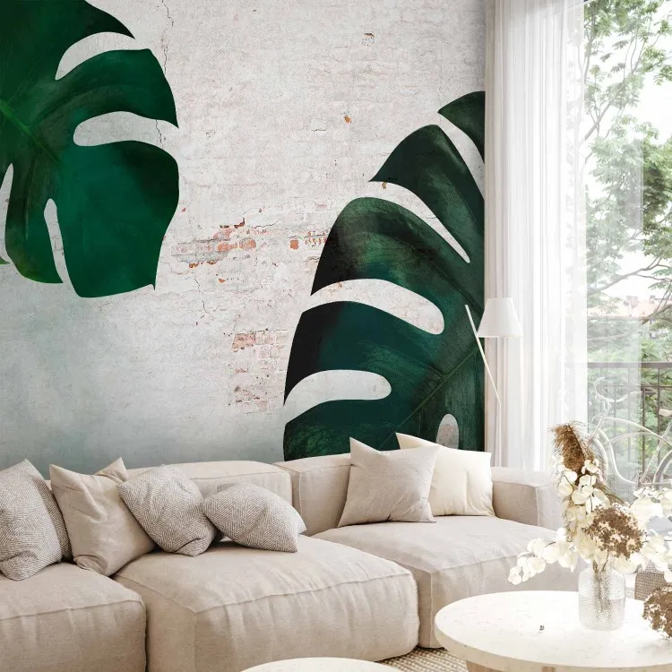 Exotische Blätter - Monstera-Komposition auf einem Mauerhintergrund