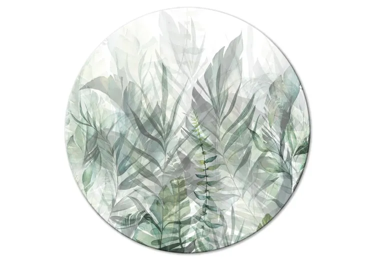 Penetration of Leaves - Landscape With Green Plants in the Morning