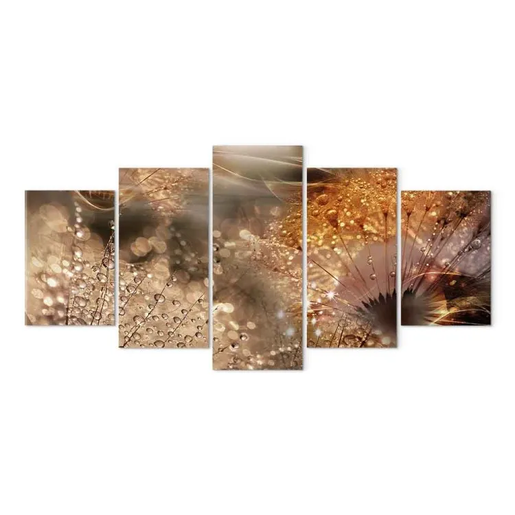 Nature and Dew - Photo of Dandelions in Warm Colors