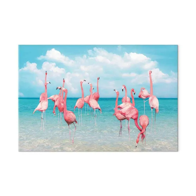Tropische Flamingos - Vögel im klaren Wasser unter blauem Himmel