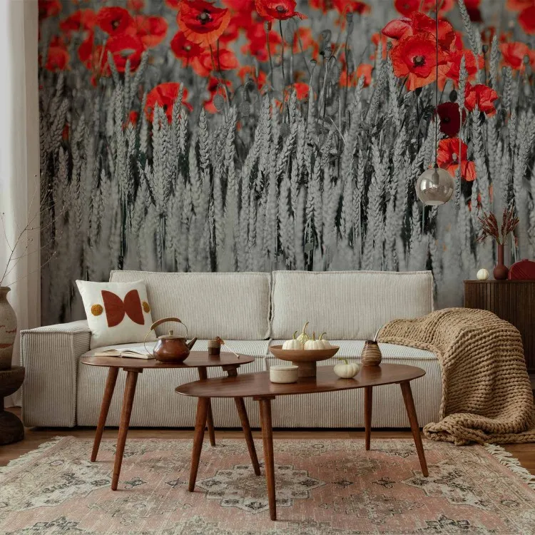 Rote Mohnblumen auf schwarz-weißem Getreide - Abstrakt kontrastreich